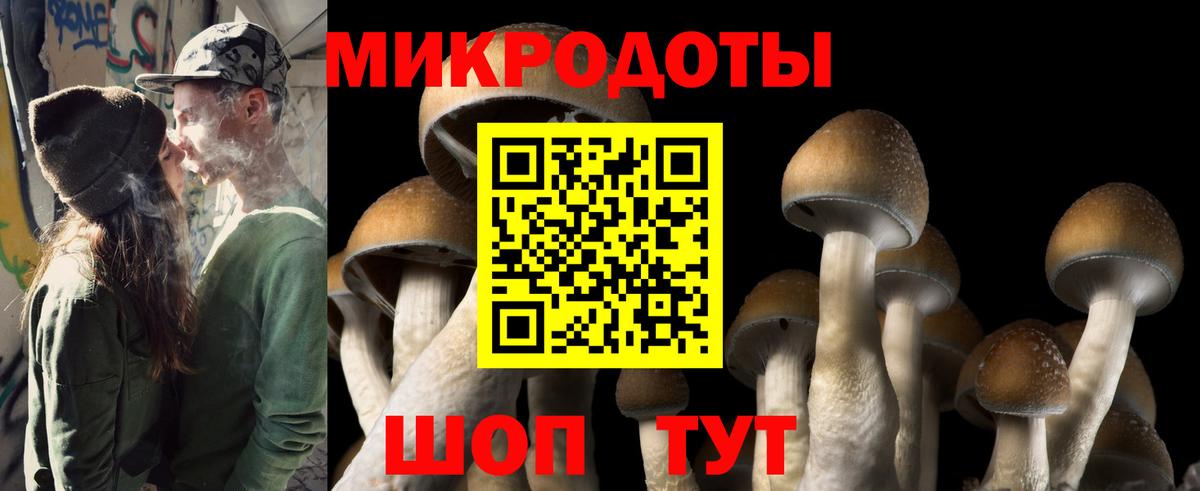 Псилоцибиновые грибы ЛСД Котельники