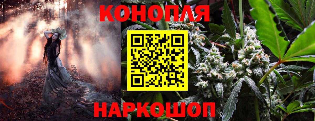 Бошки Шишки Amnesia  Вход с VPN  Бошки марихуана семена  Бошки марихуана планчик  Каннабис индика  Котельники 